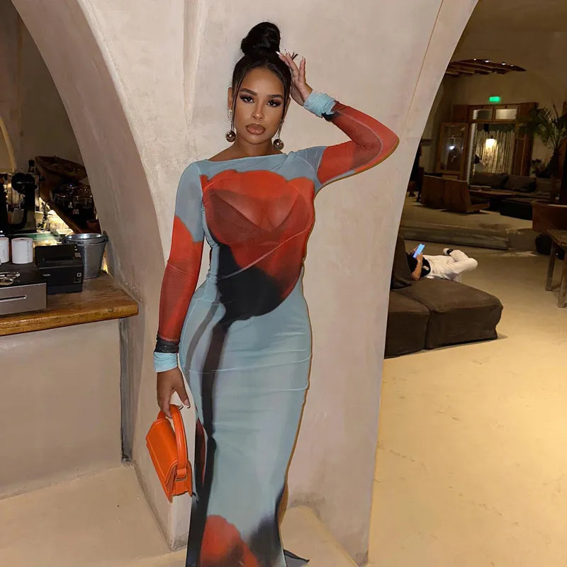 Tulip Printed See Through Mesh Dress