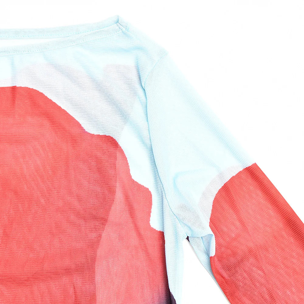 Tulip Printed See Through Mesh Dress