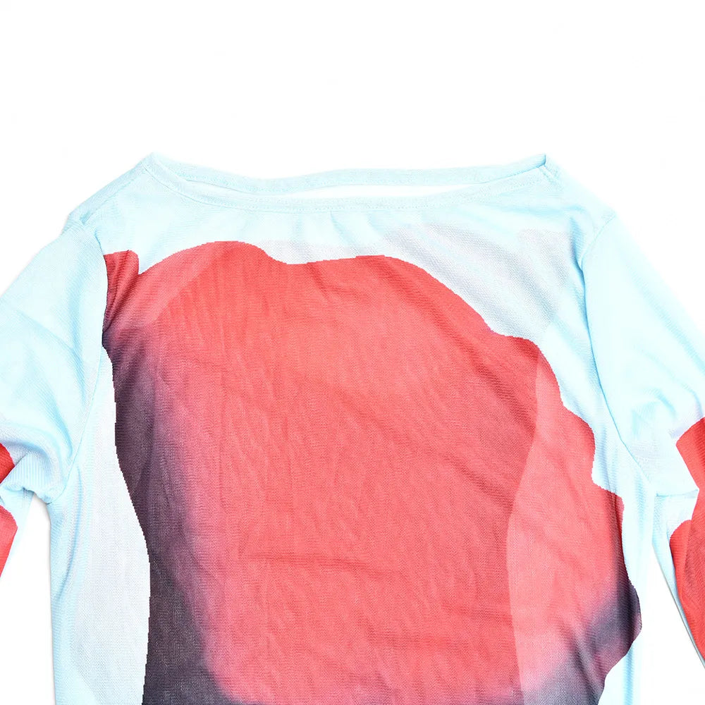 Tulip Printed See Through Mesh Dress